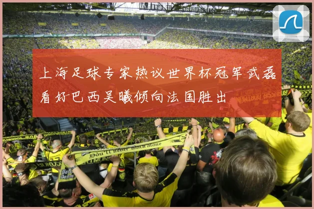 上海足球专家热议世界杯冠军武磊看好巴西吴曦倾向法国胜出