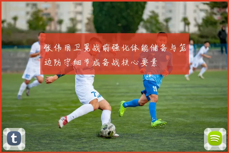 张伟丽卫冕战前强化体能储备与笼边防守细节成备战核心要素